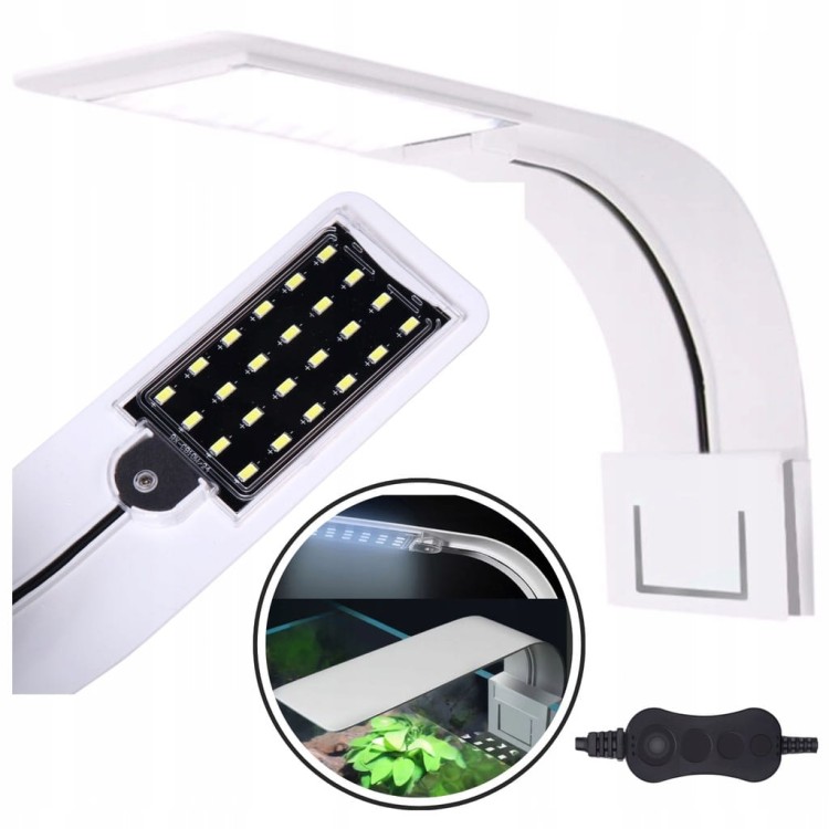 oświetlenie w akwarium